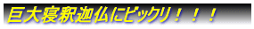 ����Q�߉ޕ��Ƀr�b�N���I�I�I
